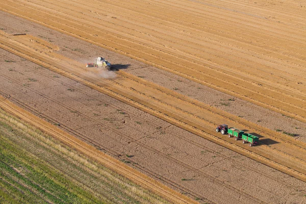 Trekker en combineren op oogst veld — Stockfoto