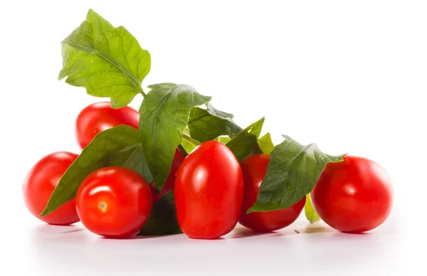 Fresh tomatoes with green leaves — Stock Photo, Image