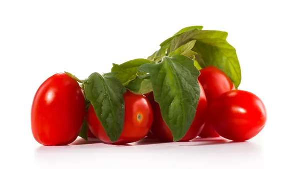 Fresh tomatoes with green leaves Stock Image