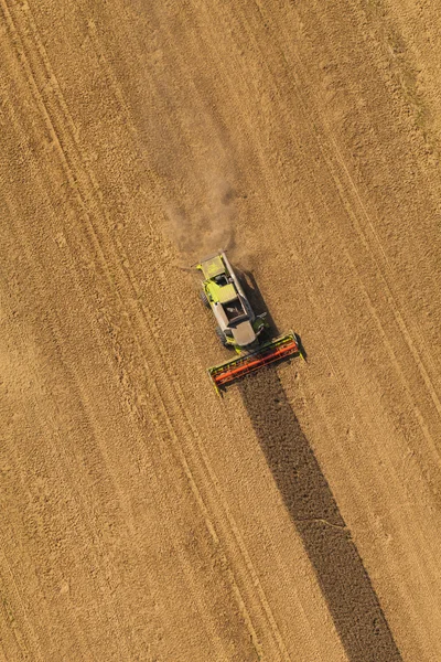 Vista aérea de la cosechadora en campo de cosecha —  Fotos de Stock