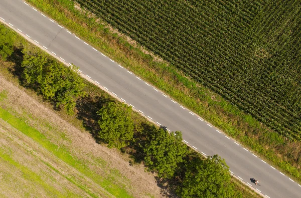 Повітряний вид на сільську дорогу та урожайні поля — стокове фото