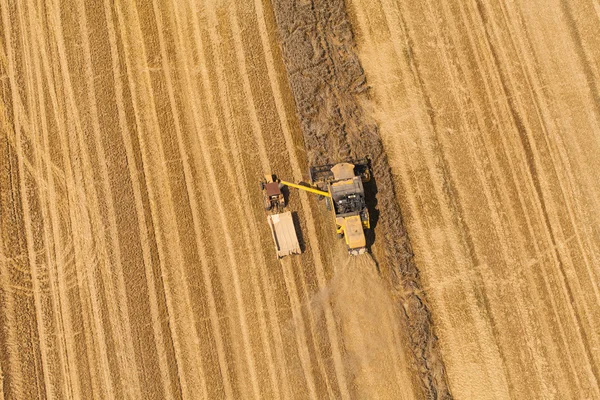 Luchtfoto van combineren op oogst veld — Stockfoto