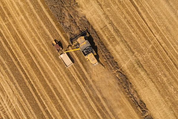 Vista aérea de la cosechadora en campo de cosecha — Foto de Stock