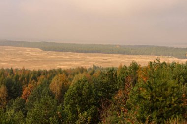Pustynia Bdowska 'da sonbahar. Polonya 'da Blendow Çölü.