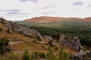 Muhteşem Polonya Jurassic Highland 'da sonbahar. Krakow-Czestochowa Tepesi. Kaya oluşumları.