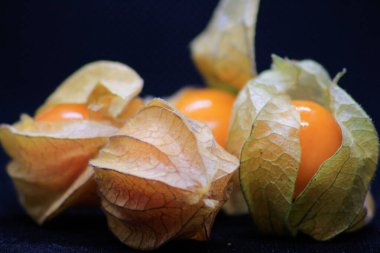 Physalis Peruviana meyvesi. Altın böğürtlenlere yakın çekim