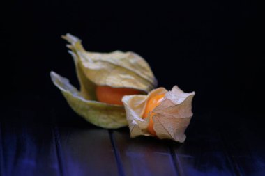 Physalis Peruviana meyvesi. Altın böğürtlenlere yakın çekim