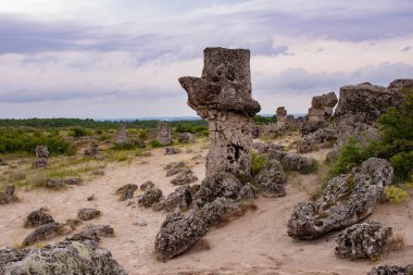 Pobitite Kamuni. Bulgaristan 'ın Taş Ormanı' ndaki Kayalar. Balkanlar 'da popüler bir yer.