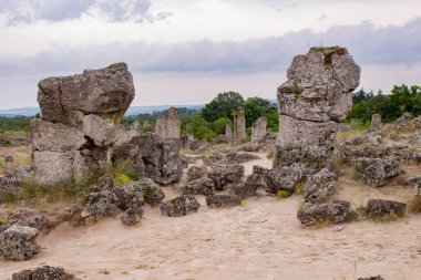 Pobitite Kamuni. Bulgaristan 'ın Taş Ormanı' ndaki Kayalar. Balkanlar 'da popüler bir yer.
