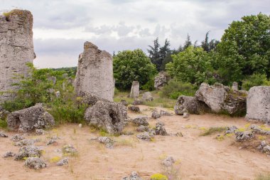 Pobitite Kamuni. Bulgaristan 'ın Taş Ormanı' ndaki Kayalar. Balkanlar 'da popüler bir yer.