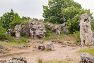 Pobitite Kamuni. Bulgaristan 'ın Taş Ormanı' ndaki Kayalar. Balkanlar 'da popüler bir yer.