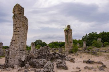 Pobitite Kamuni. Bulgaristan 'ın Taş Ormanı' ndaki Kayalar. Balkanlar 'da popüler bir yer.