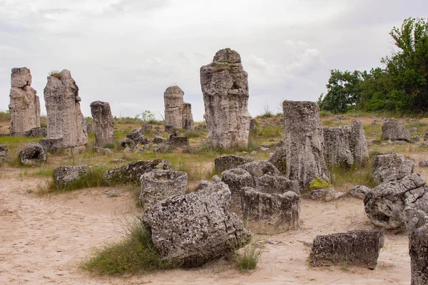 Pobitite Kamuni. Bulgaristan 'ın Taş Ormanı' ndaki Kayalar. Balkanlar 'da popüler bir yer.