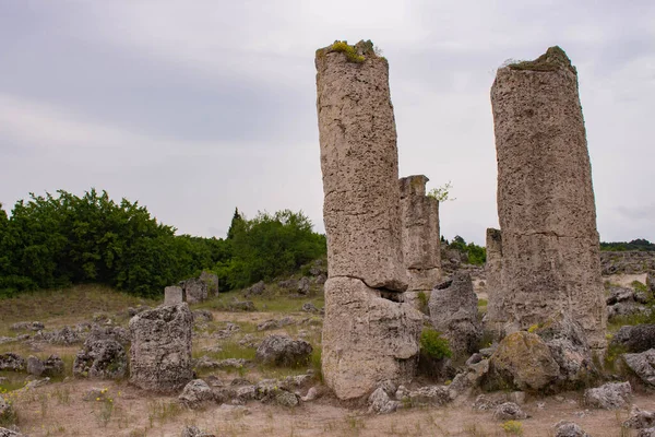 Pobitite Kamuni. Bulgaristan 'ın Taş Ormanı' ndaki Kayalar. Balkanlar 'da popüler bir yer.