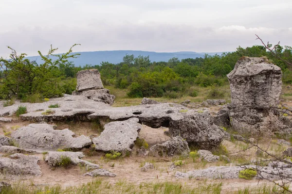 Pobitite Kamuni. Bulgaristan 'ın Taş Ormanı' ndaki Kayalar. Balkanlar 'da popüler bir yer.