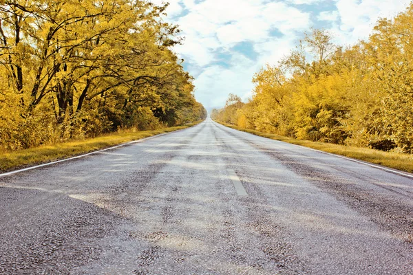 Autumn road going far away — Stock Photo, Image