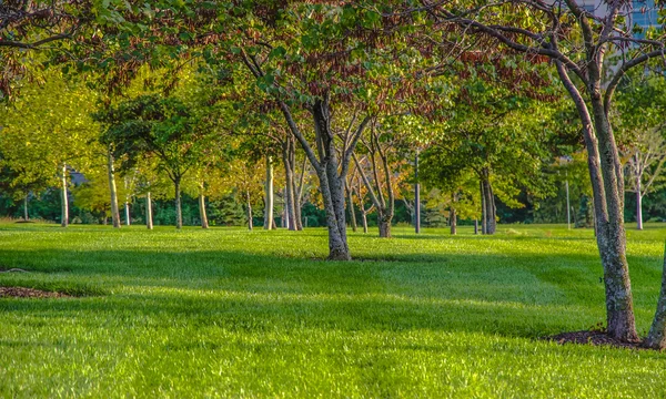 Naturaleza — Foto de Stock