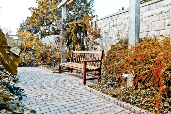 Bench in een tuin — Stockfoto