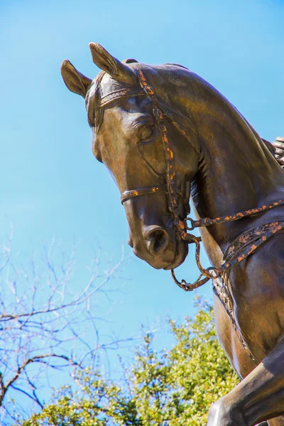 Estatua de caballo —  Fotos de Stock