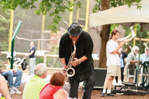 Banda musicale — Foto Stock