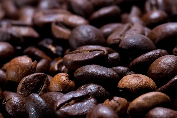 Frisch geröstete Kaffeebohnen im Fokus — Stockfoto