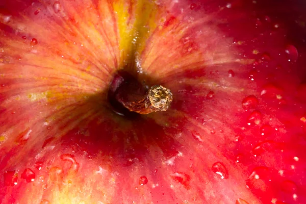 Červené jablko, makro — Stock fotografie