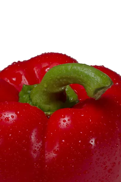 Paprika isolerad på vit — Stockfoto