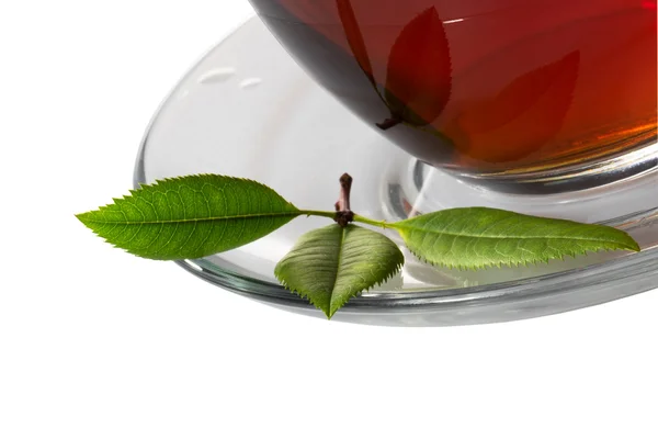 Tazza di tè e foglia verde su bianco — Foto Stock