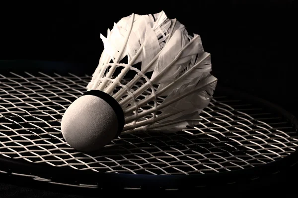 izole siyah üzerine beyaz bir raketle