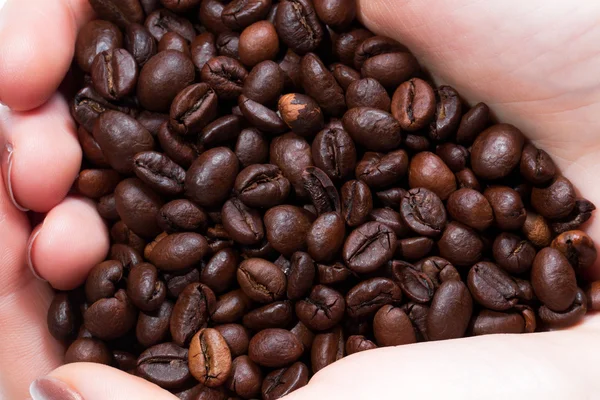 Manos con granos de café sobre fondo blanco — Foto de Stock