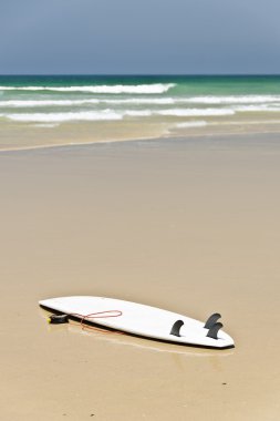 Sörf tahtası