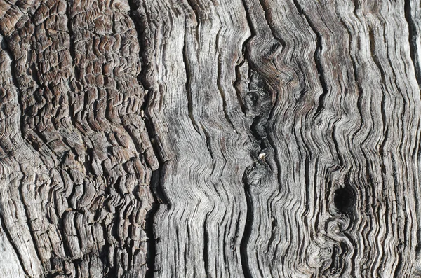 Old wood ash — Stock Photo, Image
