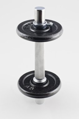 vücut ağırlıkları