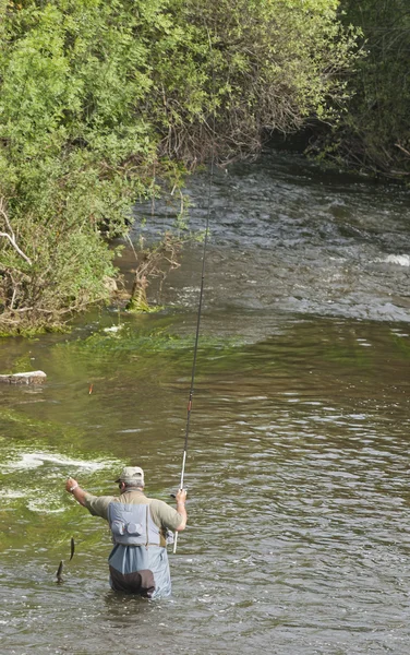 Fisherman — Stock Photo, Image