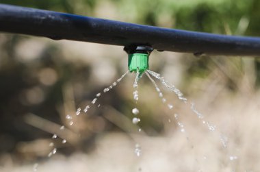 irrigation clipart