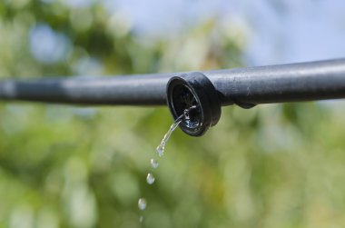 drip irrigation clipart