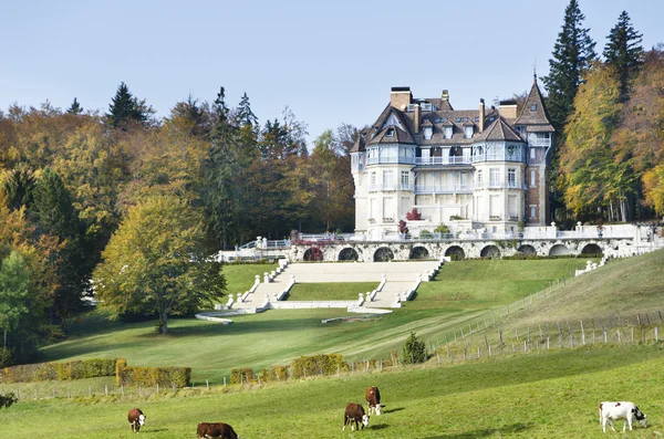 Avenieres Castle — Stock Photo, Image