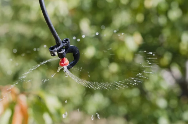 Irrigation sprinkler — Stock Photo, Image