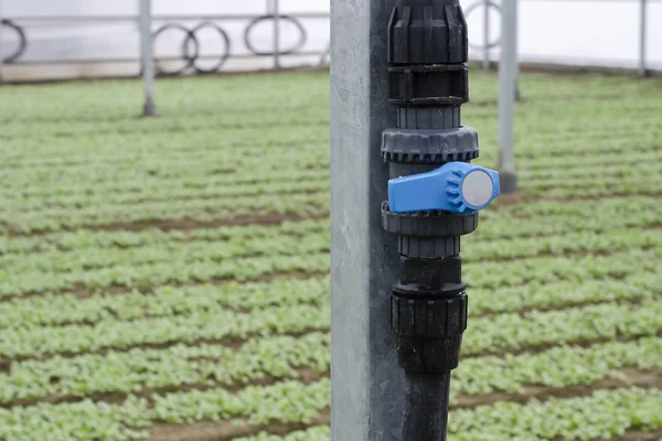 Key irrigation — Stock Photo, Image
