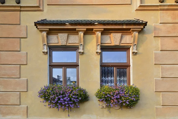 Ventanas — Foto de Stock