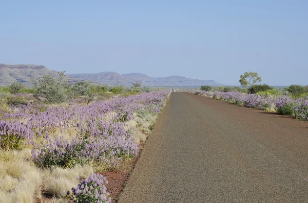 Outback Australië, reizen vakantie — Stockfoto