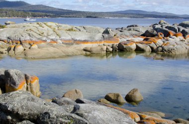 Tazmanya, Körfez kıyılarında Avustralya ateş