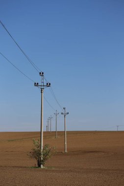 Güç hatlarının direkleri tarlalardan geçer.