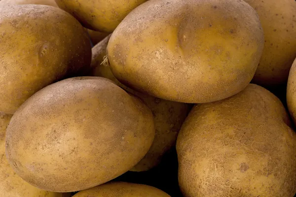 Potatoes (Solanum tuberosum) — Stock Photo, Image