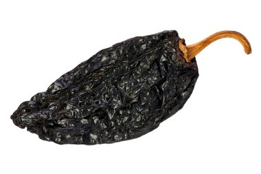 Ancho biber (Capsicum annuum)