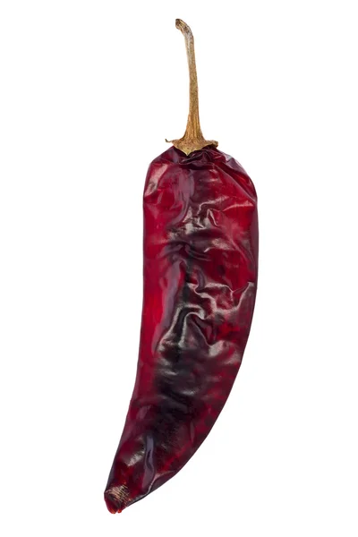 Guajillo biber (Capsicum Annuum)