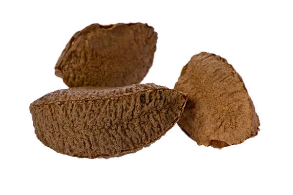 Brazil Nuts (Bertholletia excelsa) — Stock Photo, Image