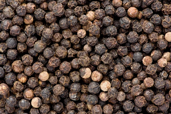 Black Pepper (Piper nigrum) — Stock Photo, Image