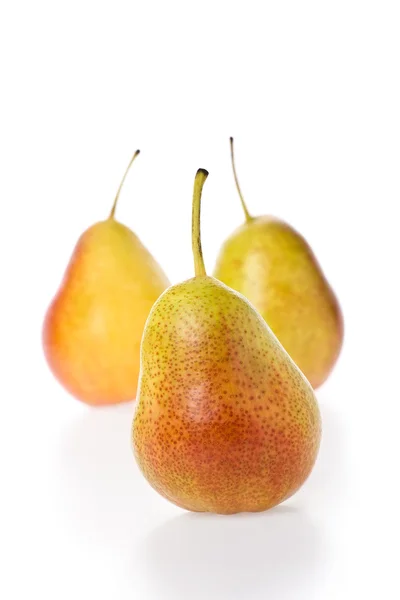 Forelle Pears — Stock Photo, Image