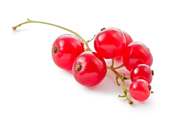 Red Currents (Ribes rubrum) — Stock Photo, Image